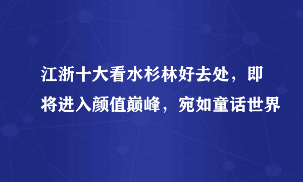 江浙十大看水杉林好去处，即将进入颜值巅峰，宛如童话世界