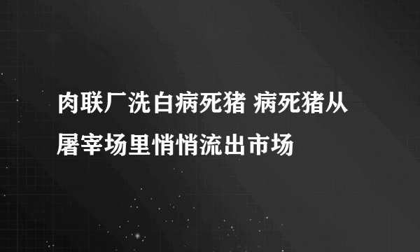 肉联厂洗白病死猪 病死猪从屠宰场里悄悄流出市场