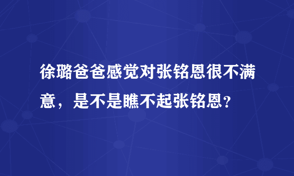 徐璐爸爸感觉对张铭恩很不满意，是不是瞧不起张铭恩？