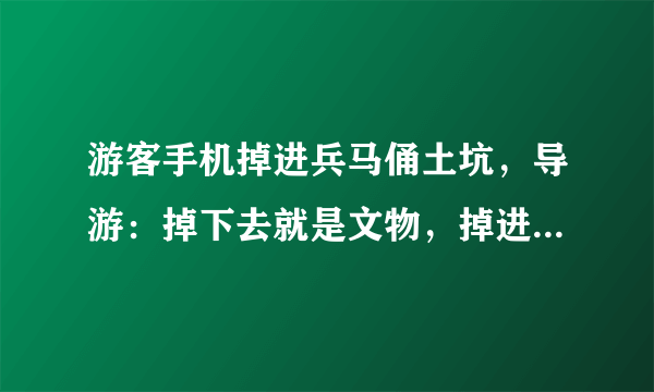 游客手机掉进兵马俑土坑，导游：掉下去就是文物，掉进坑里的手机不能捡回来了吗？