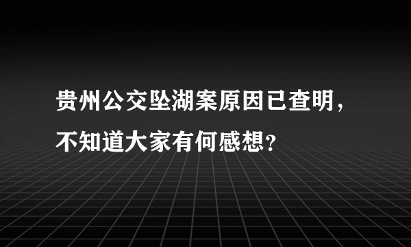 贵州公交坠湖案原因已查明，不知道大家有何感想？