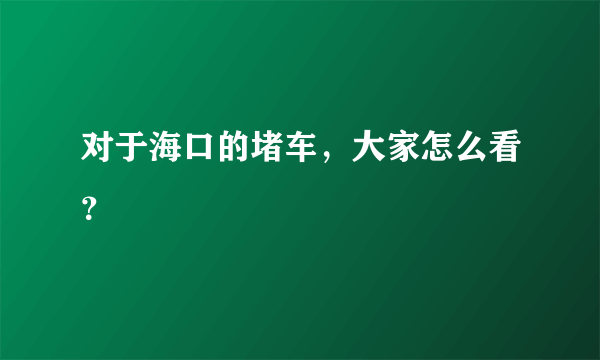 对于海口的堵车，大家怎么看？