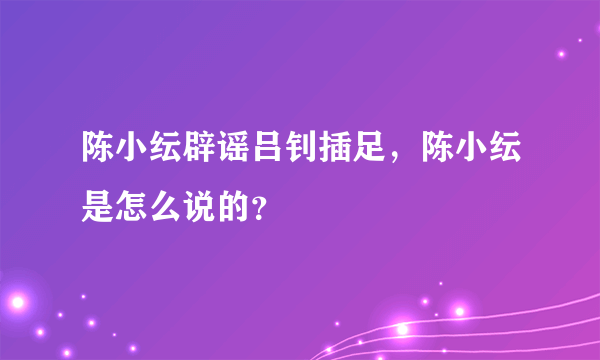 陈小纭辟谣吕钊插足，陈小纭是怎么说的？