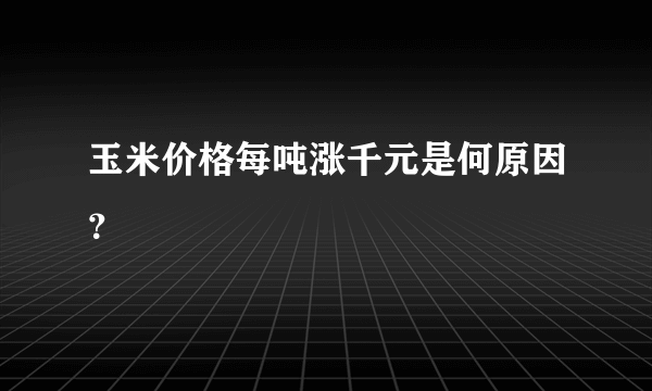 玉米价格每吨涨千元是何原因？