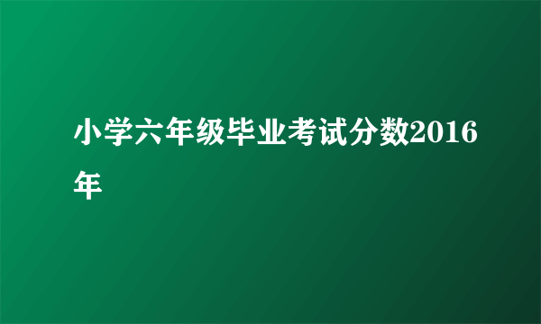 小学六年级毕业考试分数2016年