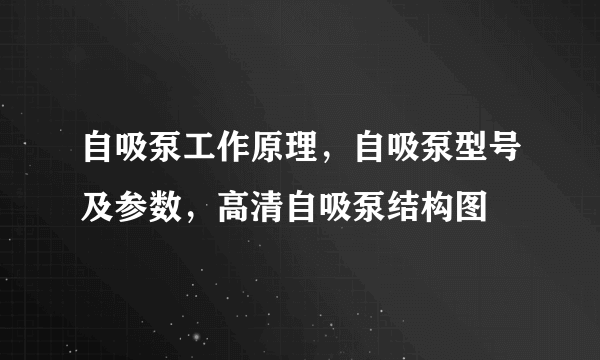 自吸泵工作原理，自吸泵型号及参数，高清自吸泵结构图