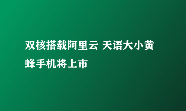 双核搭载阿里云 天语大小黄蜂手机将上市