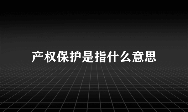 产权保护是指什么意思