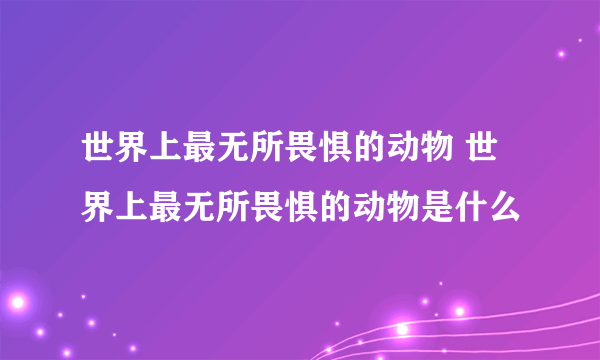 世界上最无所畏惧的动物 世界上最无所畏惧的动物是什么