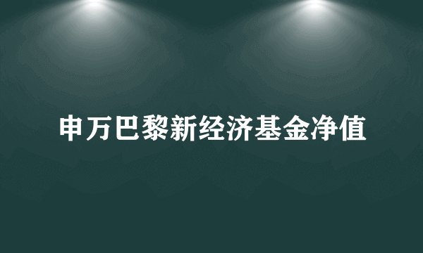 申万巴黎新经济基金净值