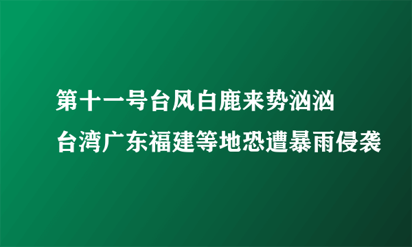 第十一号台风白鹿来势汹汹 台湾广东福建等地恐遭暴雨侵袭