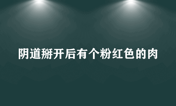 阴道掰开后有个粉红色的肉