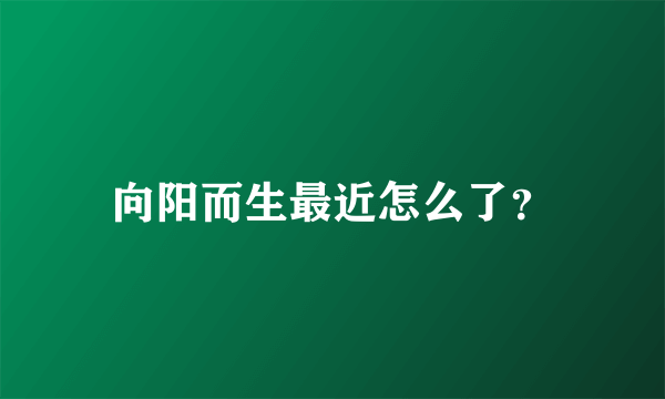 向阳而生最近怎么了？