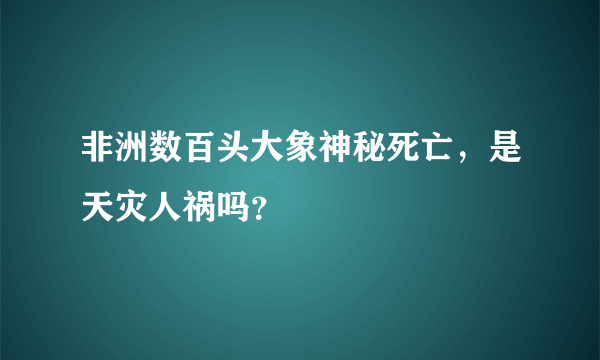 非洲数百头大象神秘死亡，是天灾人祸吗？