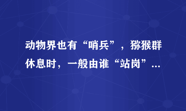 动物界也有“哨兵”，猕猴群休息时，一般由谁“站岗” 蚂蚁庄园今日答案9月30日