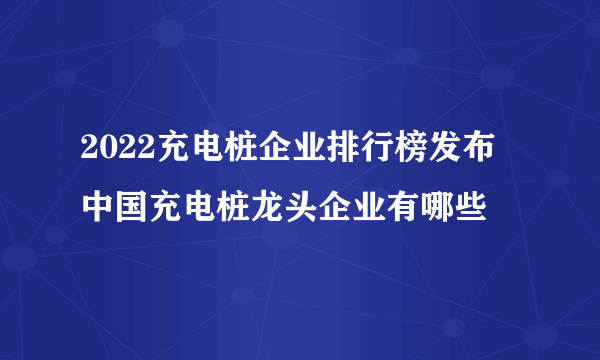 2022充电桩企业排行榜发布 中国充电桩龙头企业有哪些