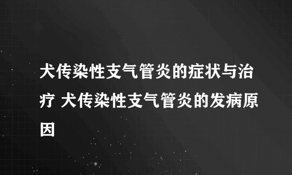 犬传染性支气管炎的症状与治疗 犬传染性支气管炎的发病原因