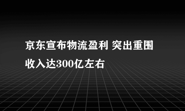 京东宣布物流盈利 突出重围收入达300亿左右