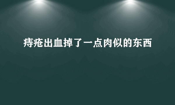 痔疮出血掉了一点肉似的东西