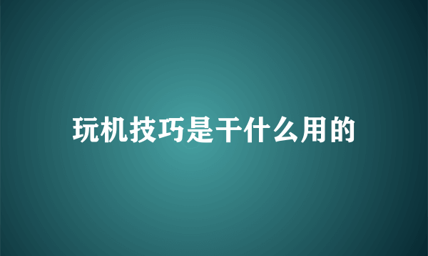 玩机技巧是干什么用的