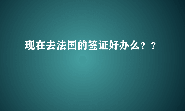 现在去法国的签证好办么？？