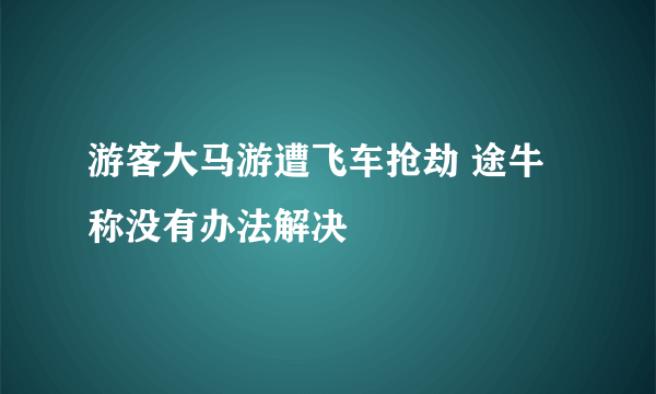 游客大马游遭飞车抢劫 途牛称没有办法解决