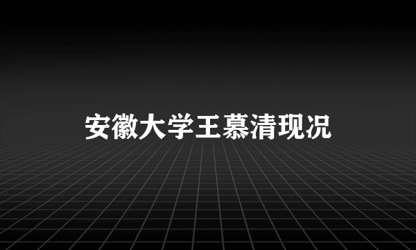 安徽大学王慕清现况