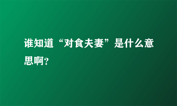 谁知道“对食夫妻”是什么意思啊？