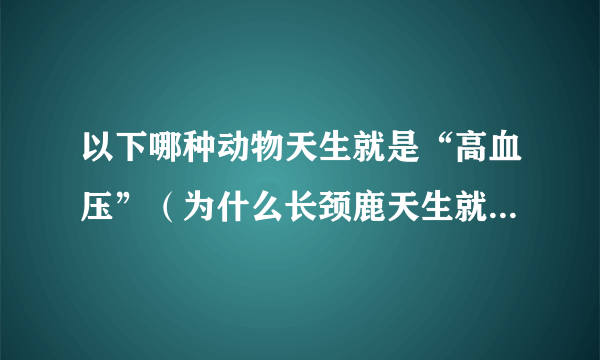 以下哪种动物天生就是“高血压”（为什么长颈鹿天生就有高血压）