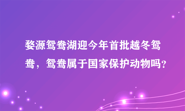 婺源鸳鸯湖迎今年首批越冬鸳鸯，鸳鸯属于国家保护动物吗？