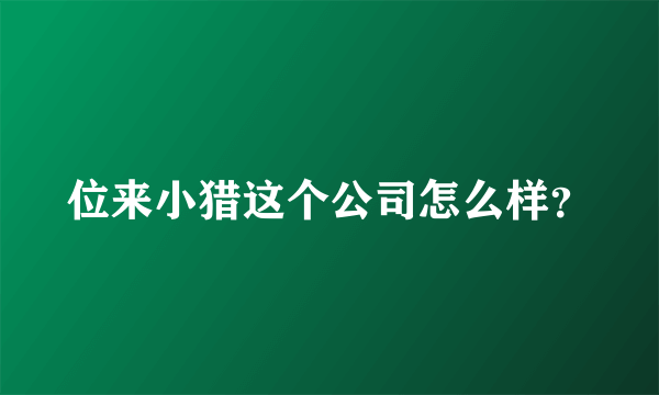 位来小猎这个公司怎么样？