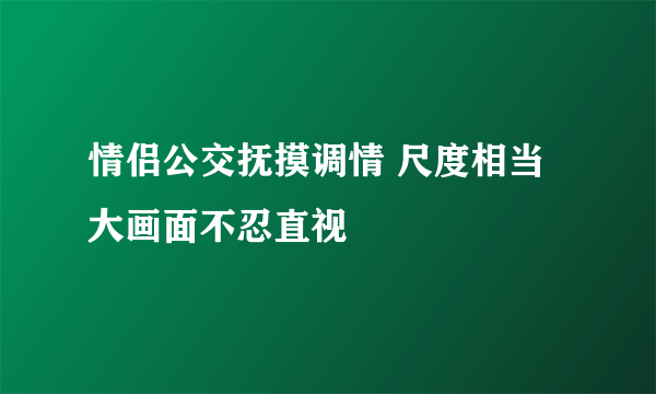 情侣公交抚摸调情 尺度相当大画面不忍直视