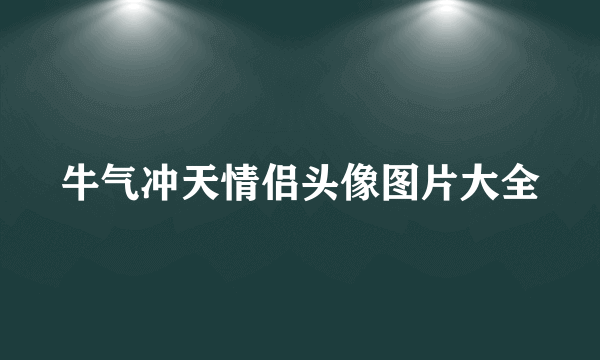 牛气冲天情侣头像图片大全