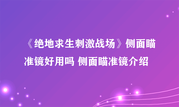 《绝地求生刺激战场》侧面瞄准镜好用吗 侧面瞄准镜介绍