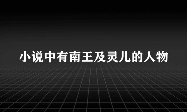 小说中有南王及灵儿的人物