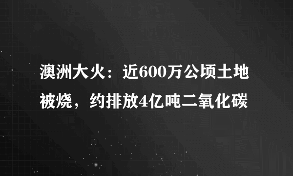 澳洲大火：近600万公顷土地被烧，约排放4亿吨二氧化碳