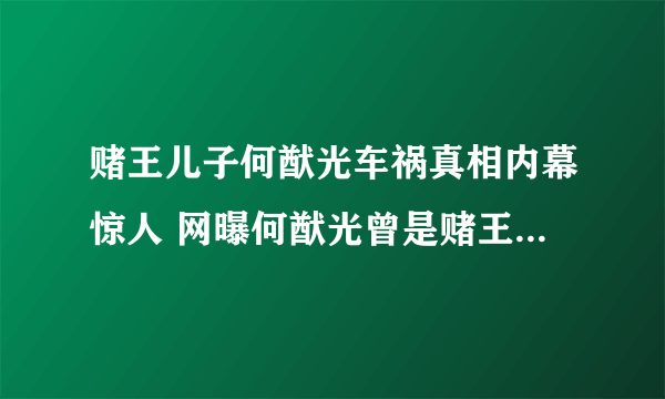 赌王儿子何猷光车祸真相内幕惊人 网曝何猷光曾是赌王指定继承人