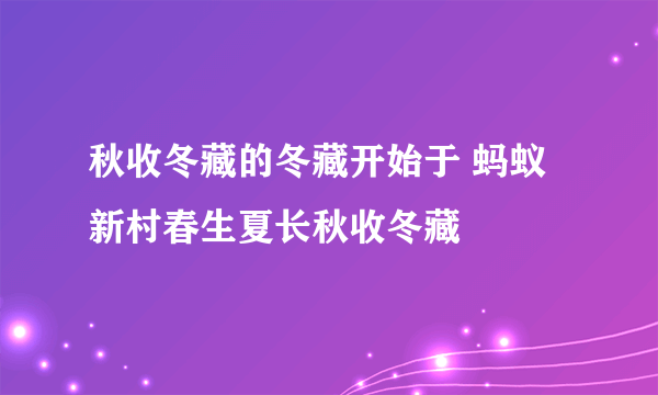 秋收冬藏的冬藏开始于 蚂蚁新村春生夏长秋收冬藏