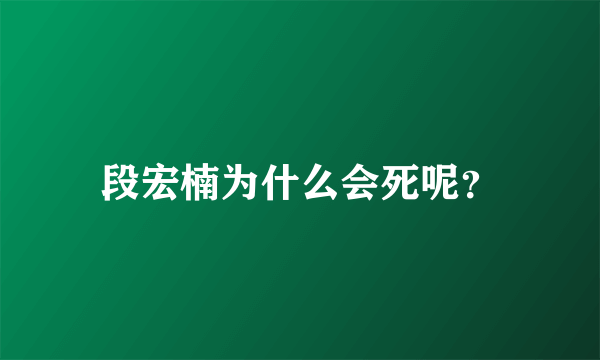 段宏楠为什么会死呢？