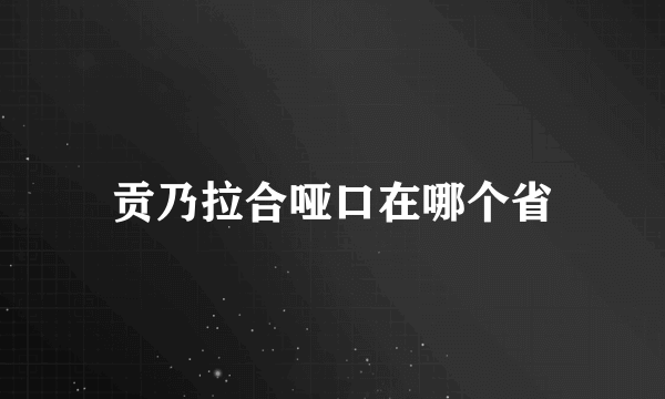 贡乃拉合哑口在哪个省