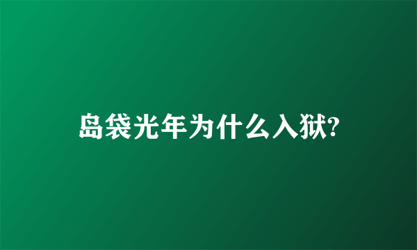 岛袋光年为什么入狱?