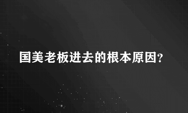 国美老板进去的根本原因？