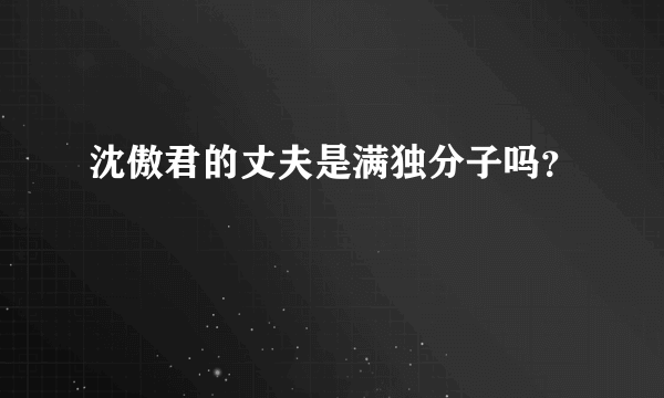 沈傲君的丈夫是满独分子吗？