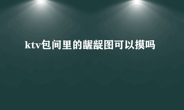 ktv包间里的龌龊图可以摸吗