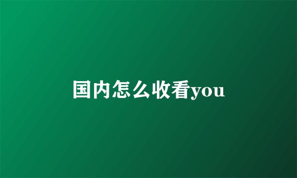 国内怎么收看you