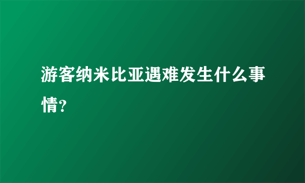 游客纳米比亚遇难发生什么事情？