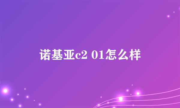 诺基亚c2 01怎么样