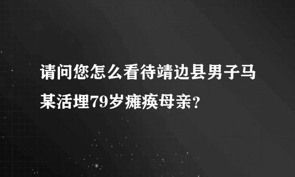 请问您怎么看待靖边县男子马某活埋79岁瘫痪母亲？