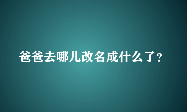 爸爸去哪儿改名成什么了？