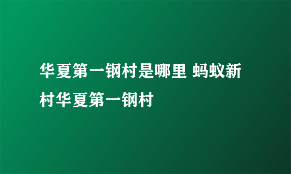 华夏第一钢村是哪里 蚂蚁新村华夏第一钢村